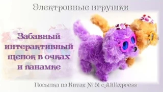 Электронные игрушки. Забавный интерактивный щенок в очках и панамке. Посылка из Китая № 51
