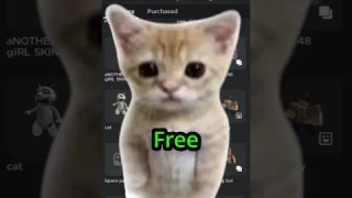 How to Look Like EL GATO On ROBLOX For FREE
