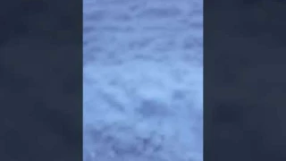 Кровь из рта