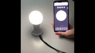 SND-L10 умная wi-fi лампочка для дома  Telegram: santrin_pro