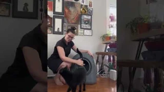 Thank you, HHO LOVE Automatic Cat Litter Box Pro! #HHOLOVE  #catlitterbox #catmom #cats #litterbox