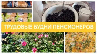 Дела житейские,заботы,хлопоты-Один из наших дней // Магазин PRISMA-обзор цен на основные продукты //