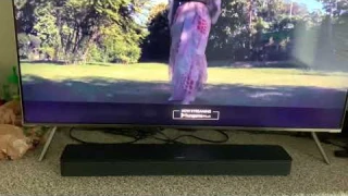 Bose Soundbar 300 New 2020
