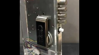 TTLOCK TITAN PRO - замок невидимка с выносным биометрическим модулем