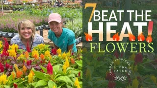 Plant These Flowers for Summer