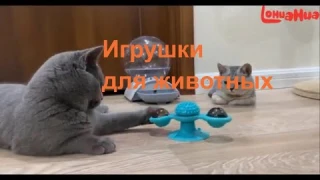 Игрушки для животных. Товары на AliExpress