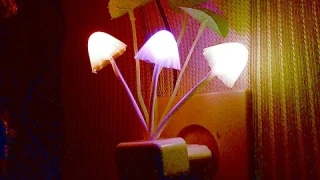 Ночник который Вы захотите купить. Светильник - ночник LED RGB