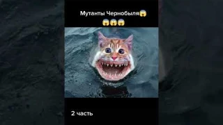 мутанты из Чернобыля.