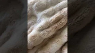 Cozy Up with Rached Blanket: Ultimate Comfort Vibes! #shortsviral
