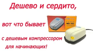 Дешево и сердито, вот что бывает с дешевым компрессором для начинающих !