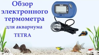 Цифровой термометр для аквариума Tetra TH Digital Thermometer, электронный