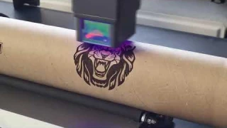 Killeroz Review - ATEZR P10  Combo | Powerful Laser Engraver with Rotary Roller and  Air Assist