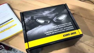 SMART Integrated LED Side Mirror Lights - 715007185