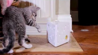 Интерактивная игрушка для кошек PetSafe FroliCat Cheese – ОБЗОР