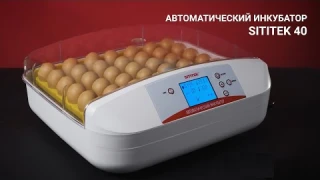 Инкубатор автоматический SITITEK 40