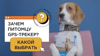 GPS-трекер - нужен ли животным? Какой трекер выбрать собак?