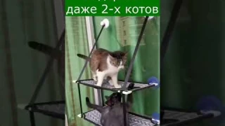 Гамак для кошек на окно двойной