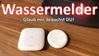 Nach meinem Wasserschaden - DU BRAUCHST Wassermelder! Review X-Sense mit Basisstation SBS50 SWS0A41