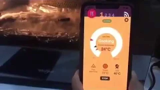 Беспроводной термометр для мяса и продуктов