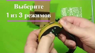 Электронный ошейник для собак