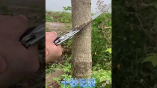 Creative DIY Making Useful Items #DIY #729