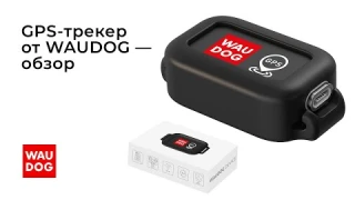 GPS-трекер для животных WAUDOG DEVICE обзор
