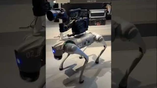 Unitree Go2 | Most intelligence robot dog