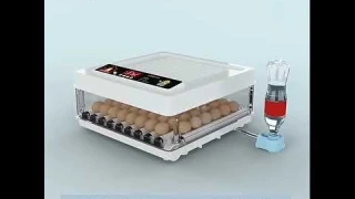 Инкубатор для яиц автоматический 220/12v