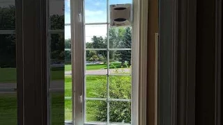 FMART W6 Window Cleaning Robot In Action