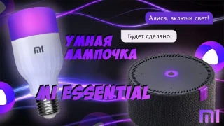 УМНАЯ ЛАМПОЧКА XIAOMI  ESSENTIAl | УПРАВЛЕНИЕ ГОЛОСОМ