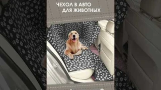 Чехол в авто для животных  с AliExpress. Лучшие вещи и товары с быстрой доставкой из Китая.