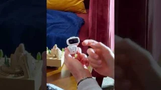 Aibi Pocket Pet #livingai #aibipet #wearable #fashion
