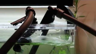 Hagen's Fluval G3: Tubing & Electronic Setup