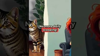 ZeaCotio Self Cleaning Litter Box Review