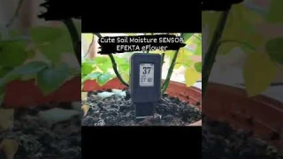 Zigbee soil moisture sensor with e-ink display Efekta eFlower