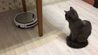 Обзор робота пылесоса iLife v50 c Алиэкспресс