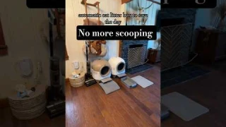 "Best Cat Automatic Litter Box 2025 🐱💩 | Self-Cleaning #pets