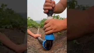 Installed a garden sprinkler🥔 / Установили распылитель для огорода🥔