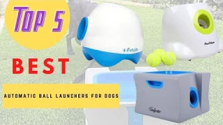 Top 5 Best Automatic Ball Launchers For Dogs 2021