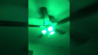 Peteme Smart WiFi Alexa Light Bulb, Led RGB Color Changing Bulbs, Compatible with Alexa, Siri, Echo