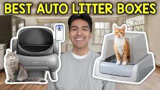 I Found The Best Automatic Cat Litterboxes For 2026