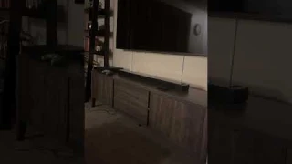 Bose Smart Soundbar 900 music test