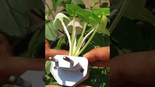 Manogyam Mushroom Light Automatic Sensor Night Lamp (Multicolor) @190 TECHNOLOGY Bro'Ss #Shorts