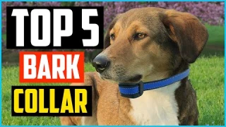 ✅Top 5 Best Bark Collar Review In 2024