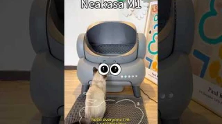 Neakasa M1 Cat Litter Box: I know, I'll guarented the freshness or your cat becomes drama critic😼💨
