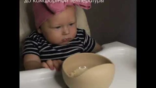 Универсальный 4 в 1 подогреватель и стерилизатор Ramili Baby BFW300