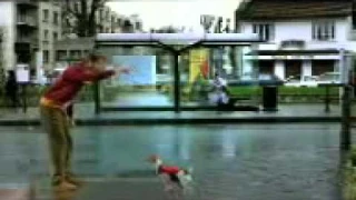 ДРЕССИРОВКА