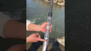 New energy electric fish device