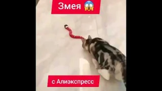 Умная игрушка-змея для котов с Алиэкспресс.  Змея игрушка для домашних питомцев