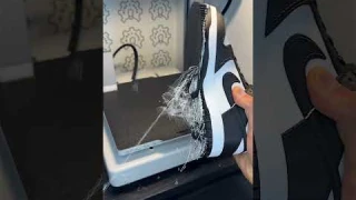 3D Printed Nike Panda Dunk Low